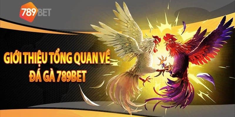 Lý do anh em nên tham gia đá gà từ link 789BET