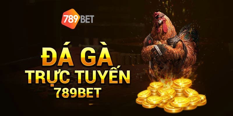 Đánh giá tính uy tín khi chơi đá gà 789BET